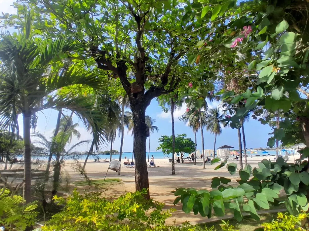 Beach Studio 27 Ocho Rios Apartment
